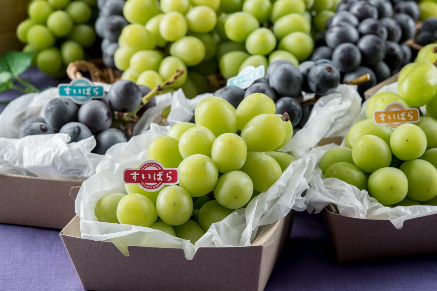 「シャインマスカット・巨峰食べ放題」