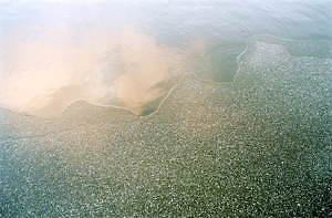 アンドワンダー(and wander) 2020-21年秋冬ウィメンズ&メンズコレクション  - 写真4