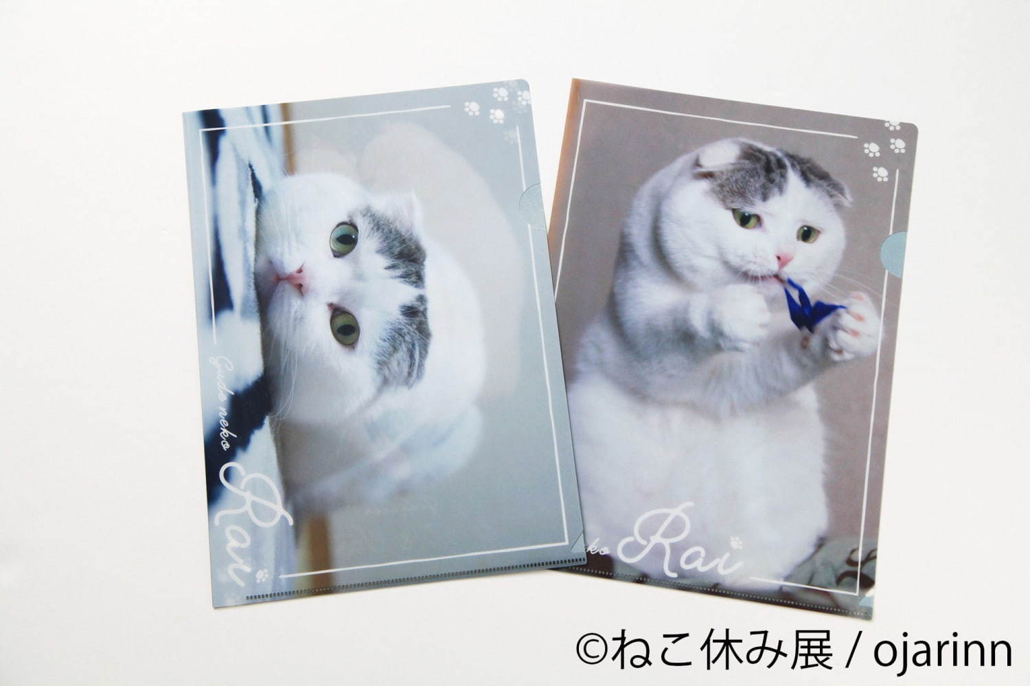 「ねこ休み展 秋 2020」名古屋で、新スター猫の写真展示＆猫アクセサリーの販売など｜写真20