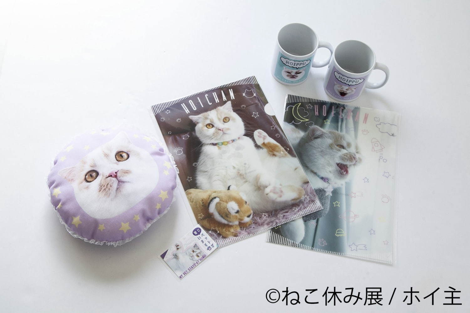 「ねこ休み展 秋 2020」名古屋で、新スター猫の写真展示＆猫アクセサリーの販売など｜写真25