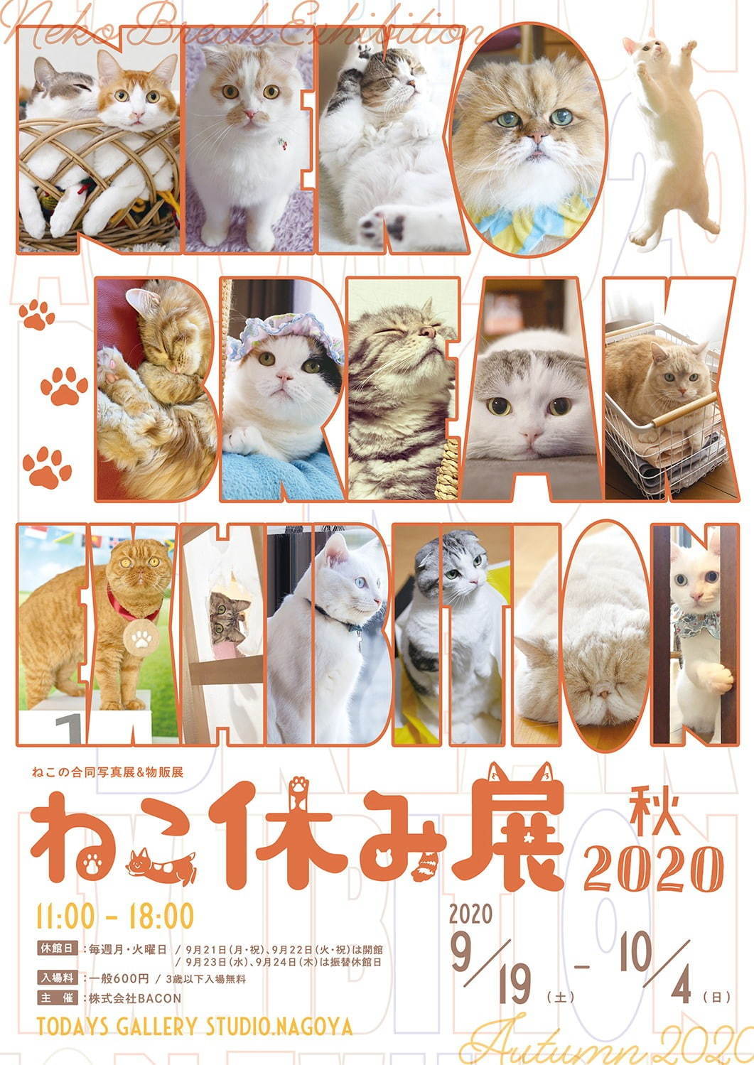 「ねこ休み展 秋 2020」名古屋で、新スター猫の写真展示＆猫アクセサリーの販売など｜写真14