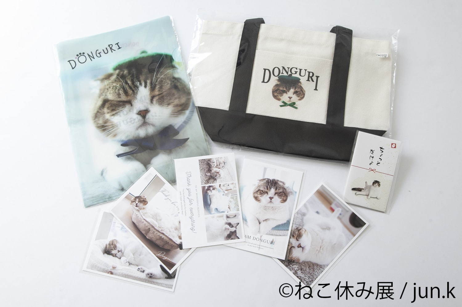 「ねこ休み展 秋 2020」名古屋で、新スター猫の写真展示＆猫アクセサリーの販売など｜写真16