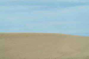 マスターピース(master-piece) 2020-21年秋冬メンズコレクション  - 写真15