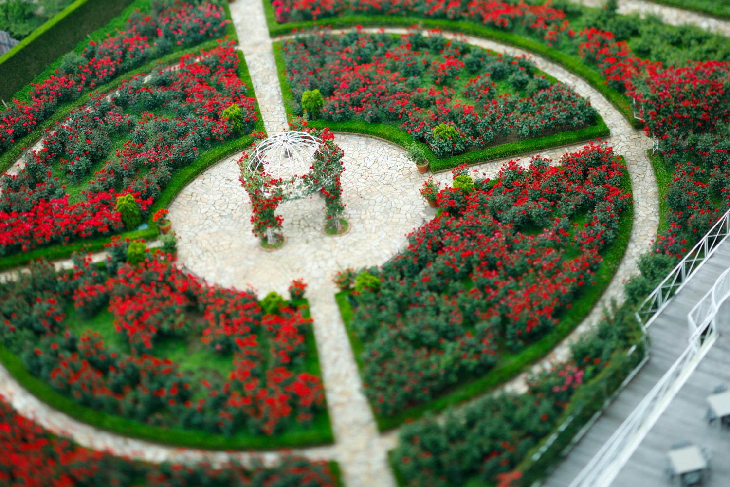 赤いバラ3万輪が咲く屋上庭園、ホテルニューオータニ(東京)に - ピエール・エルメ・パリのスイーツも｜写真2