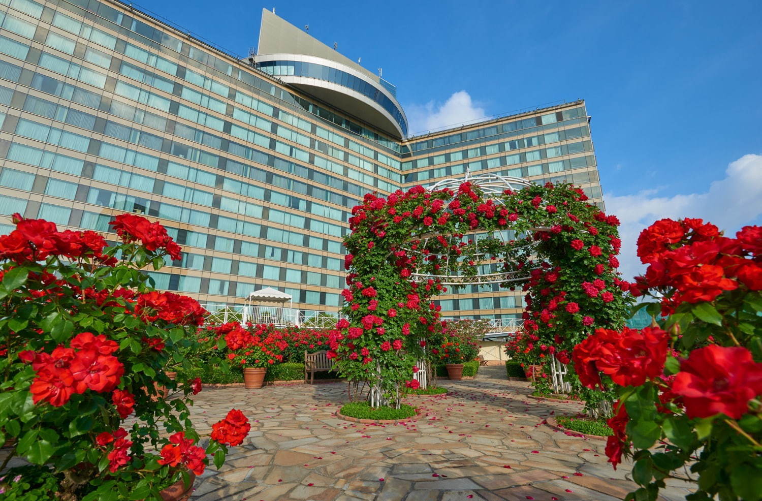 赤いバラ3万輪が咲く屋上庭園、ホテルニューオータニ(東京)に - ピエール・エルメ・パリのスイーツも｜写真5