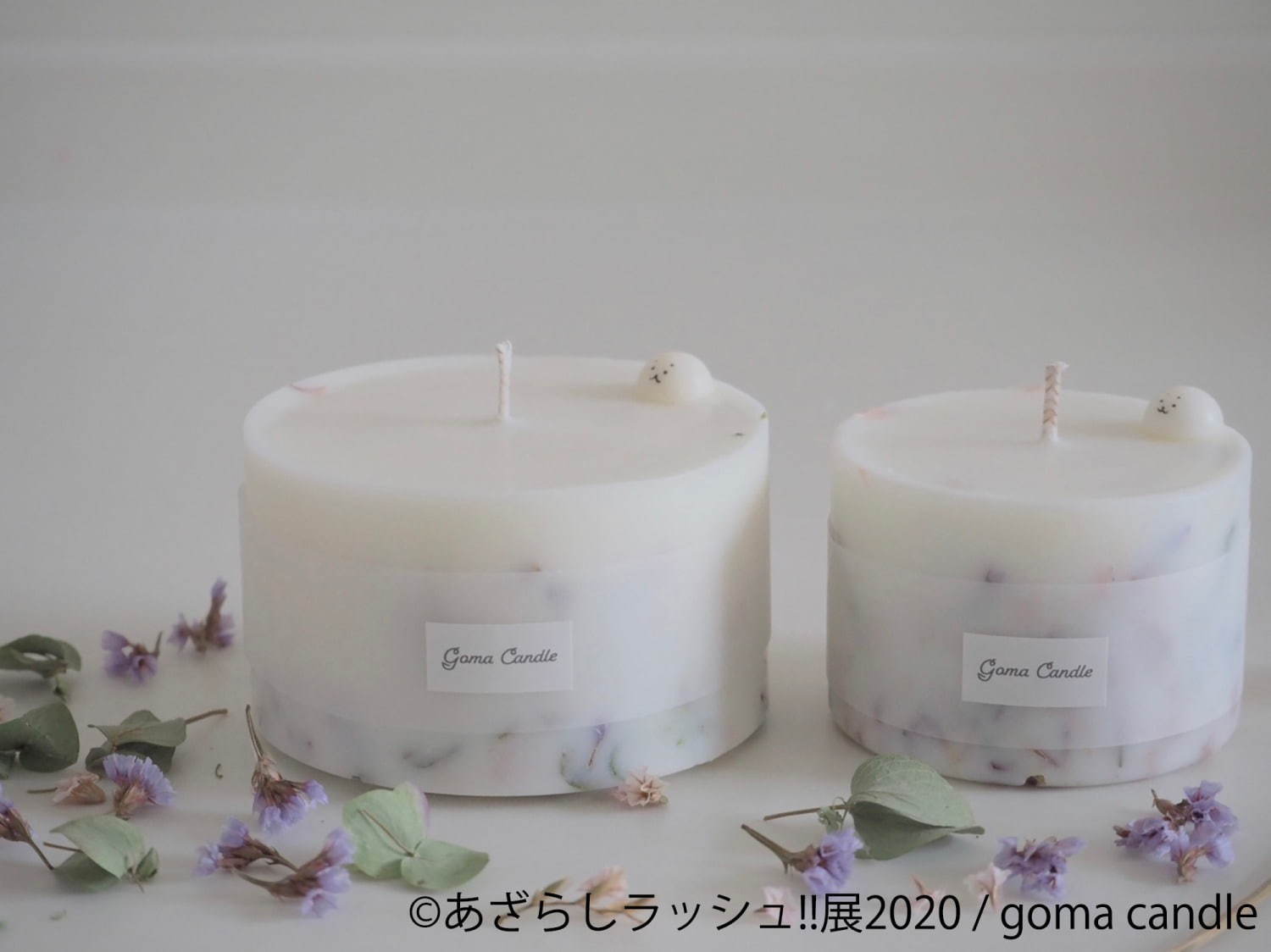 写真27 30 あざらしラッシュ 展 東京 名古屋で アザラシの赤ちゃん 写真やイラスト展示 グッズ販売も ファッションプレス 写真27 30 あざらしラッシュ 展 東京 名古屋で アザラシの赤ちゃん 写真やイラスト展示 グッズ販売も ファッションプレス