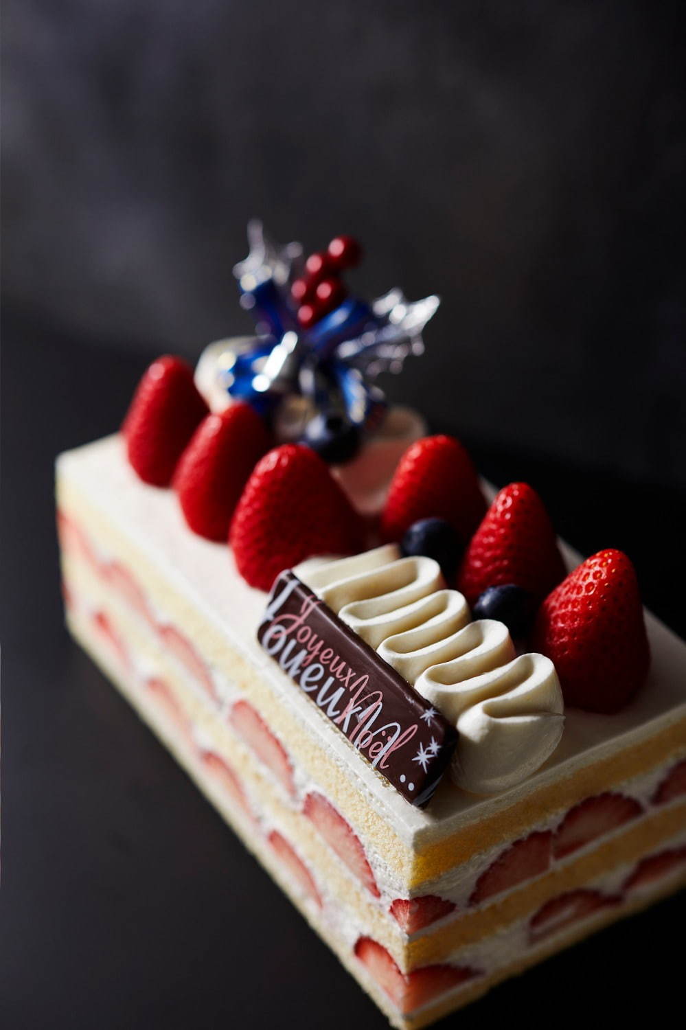 京王プラザホテルのクリスマスケーキ2020、“暖炉”や“本”を模ったユニークなチョコケーキなど｜写真8