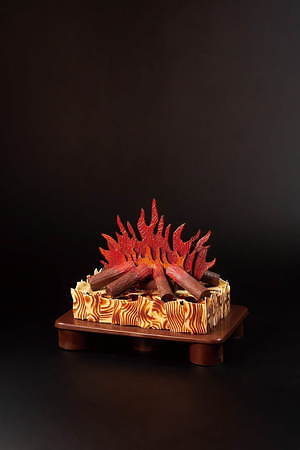 京王プラザホテルのクリスマスケーキ2020、“暖炉”や“本”を模ったユニークなチョコケーキなど 画像2