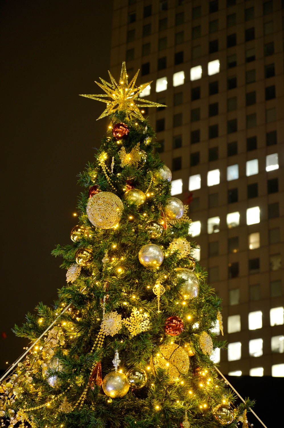 西新宿のクリスマスイルミネーション、新宿野村ビルやヒルトン東京など10か所で点灯｜写真14