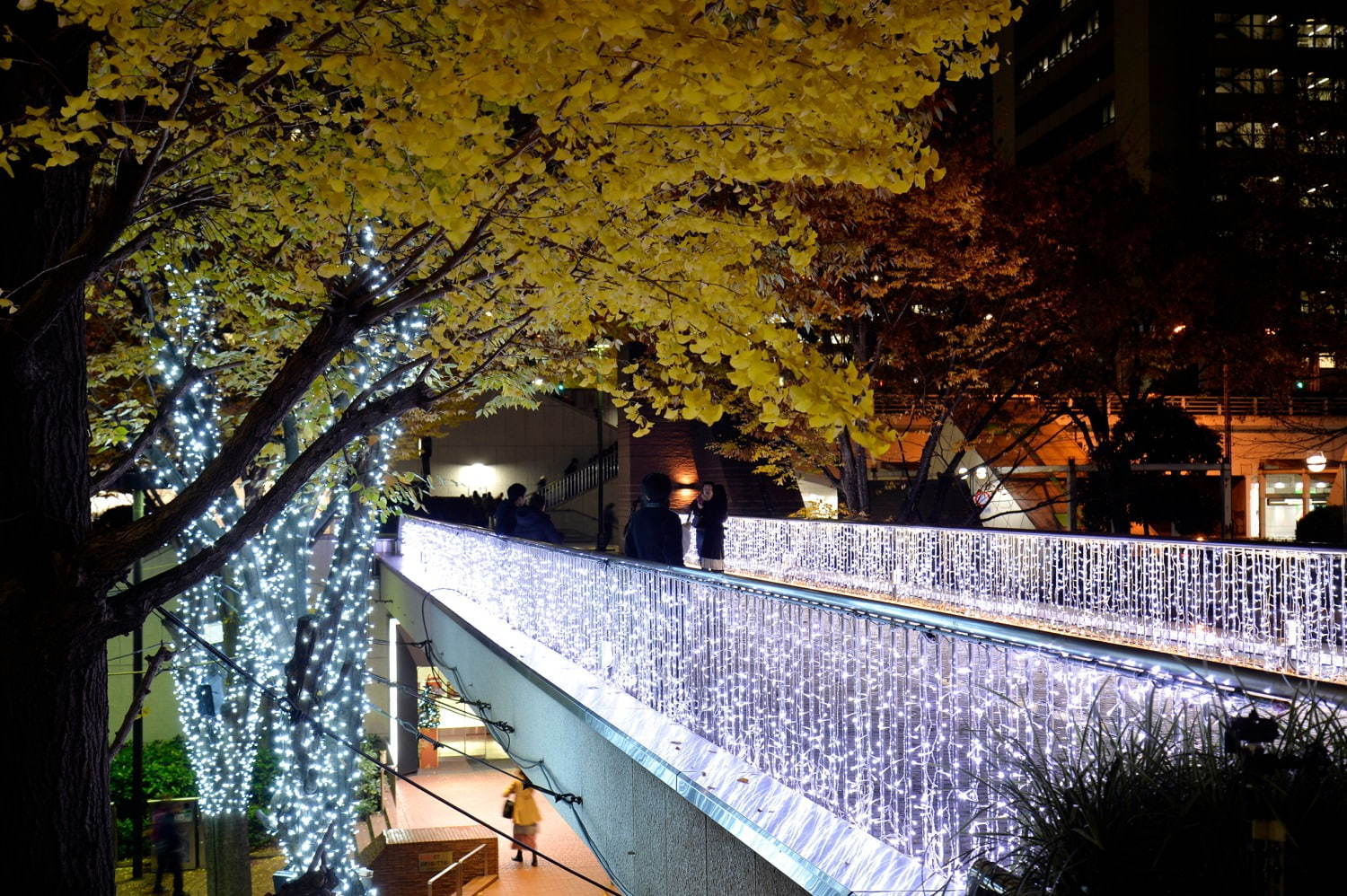 西新宿のクリスマスイルミネーション、新宿野村ビルやヒルトン東京など10か所で点灯｜写真15