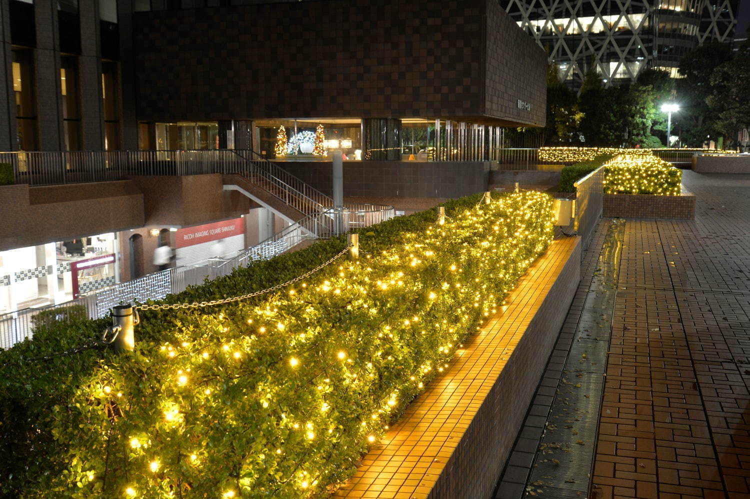 西新宿のクリスマスイルミネーション、新宿野村ビルやヒルトン東京など10か所で点灯｜写真7