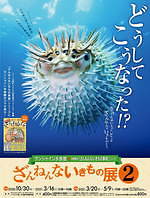 東京・池袋「ざんねんないきもの展2」“ざんねん”で愛くるしい生き物約20種展示、限定グッズも｜写真3