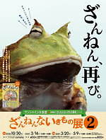 東京・池袋「ざんねんないきもの展2」“ざんねん”で愛くるしい生き物約20種展示、限定グッズも｜写真2