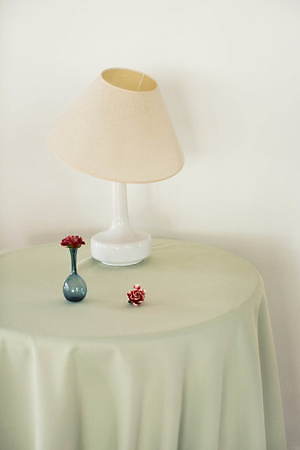 リリー ブラウン(LILY BROWN) 2020-21年秋冬ウィメンズコレクション  - 写真15