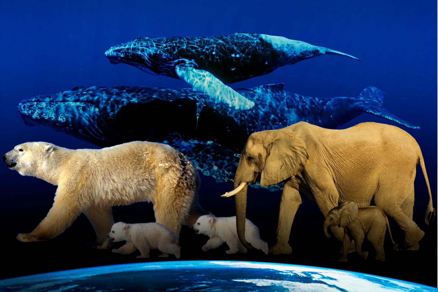 渋谷スカイ「渋谷スカイ」