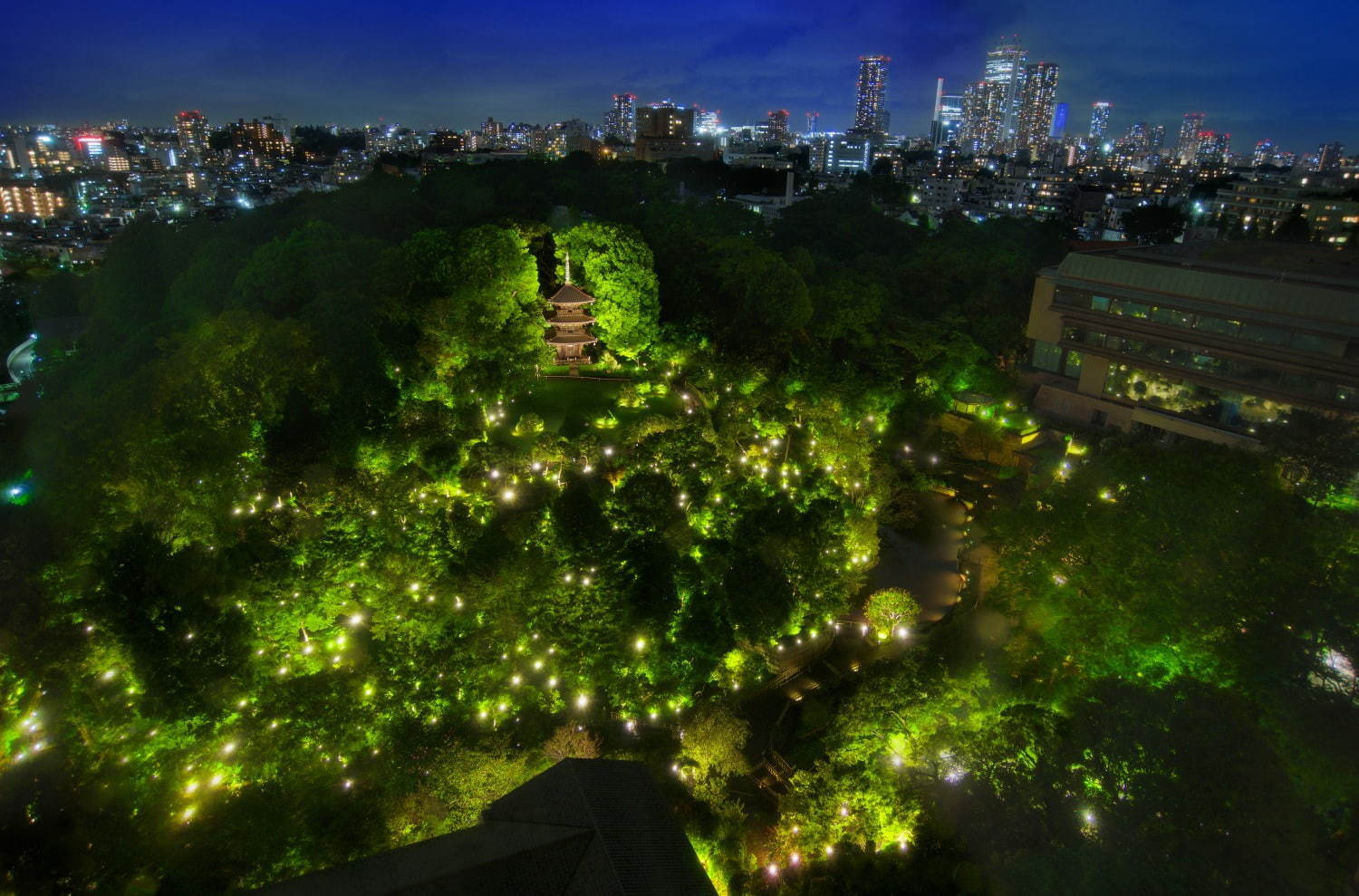 ホテル椿山荘東京“触れる雲海”や約1万本の椿が庭園に、幻想的なライトアップも｜写真2
