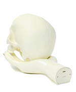 アンダーカバー(UNDERCOVER), メディコム・トイ(MEDICOM TOY), パム(P.A.M.) スカル & ハンドランプ｜写真3