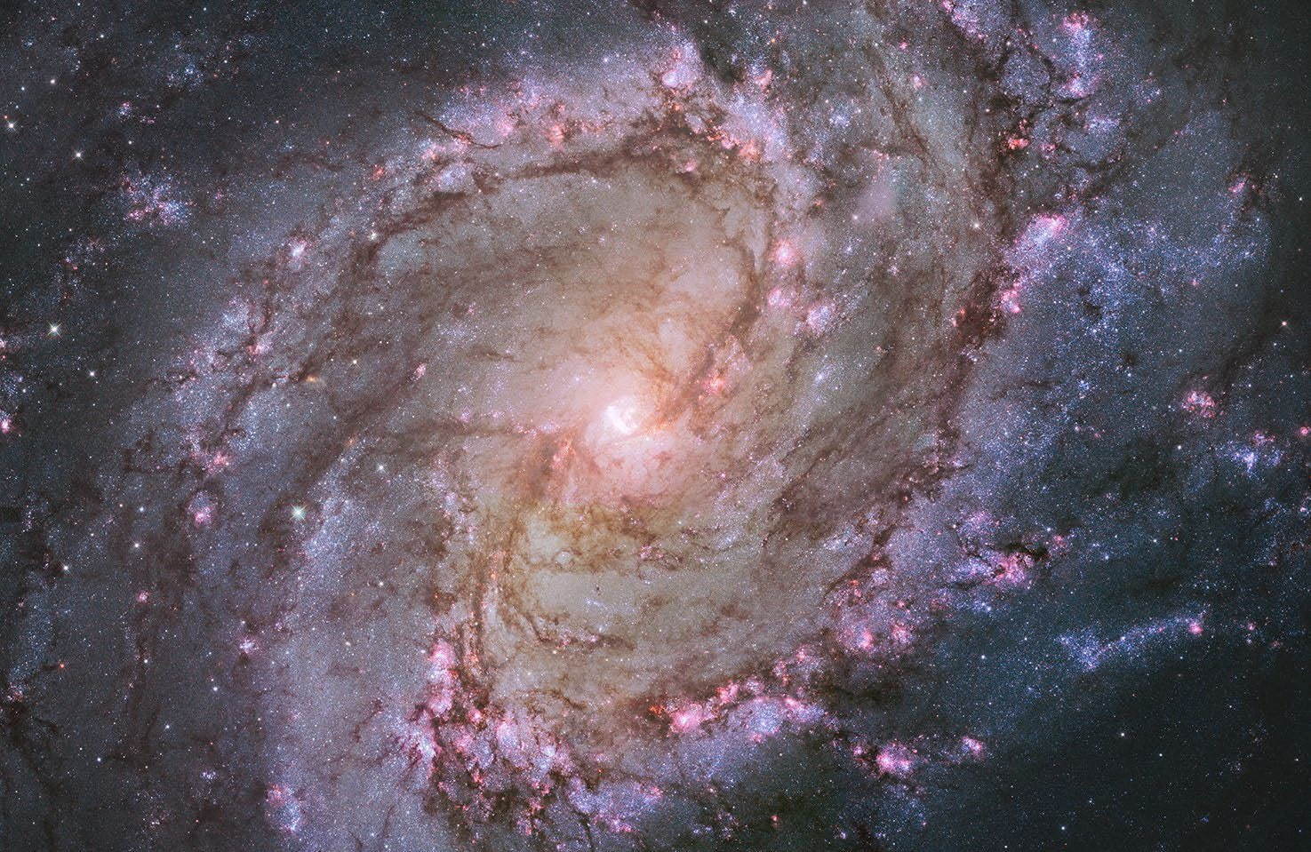 展覧会 138億光年 宇宙の旅 東京都写真美術館で Nasaの探査機や望遠鏡が捉えた美しい天体の姿 ファッションプレス 展覧会 138億光年 宇宙の旅 東京都写真美術館で Nasaの探査機や望遠鏡が捉えた美しい天体の姿 ファッションプレス
