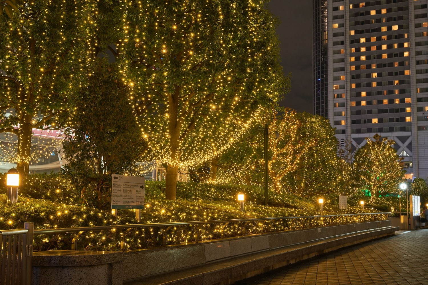 東京ドームシティのイルミネーション2020 、5千個のスマイル輝く約15mのクリスマスツリー｜写真3