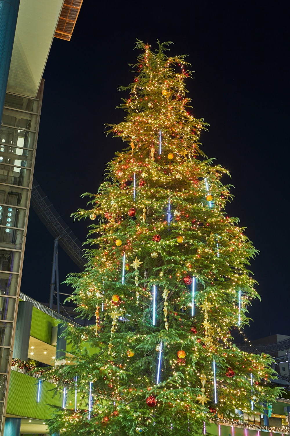 東京ドームシティのイルミネーション2020 、5千個のスマイル輝く約15mのクリスマスツリー｜写真4