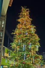 東京ドームシティのイルミネーション2020 、5千個のスマイル輝く約15mのクリスマスツリー｜写真4