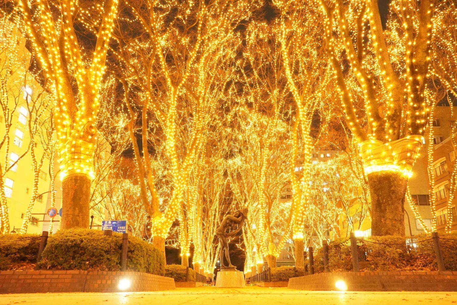 全国イルミネーション特集2020、東京・横浜・大阪他 - クリスマスを彩るデート＆ナイトスポット｜写真29