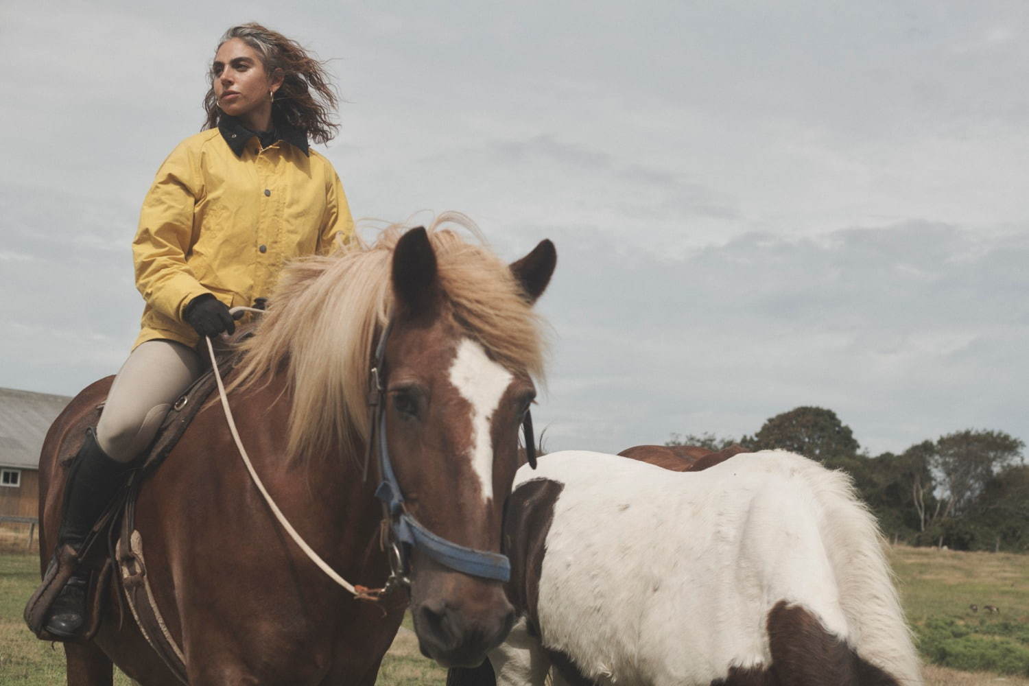 ノア(NOAH), バブアー(Barbour) ビデイル ビューフォート｜写真36