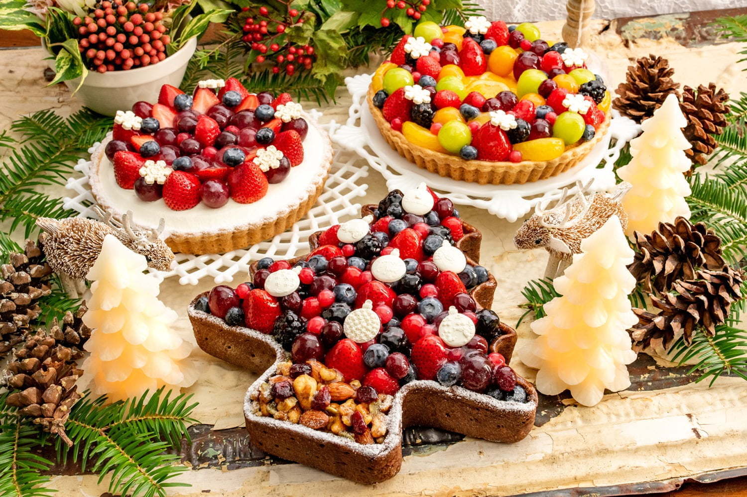 キル フェ ボンのクリスマスケーキ ツリー リース をかたどった鮮やかフルーツのタルト ファッションプレス