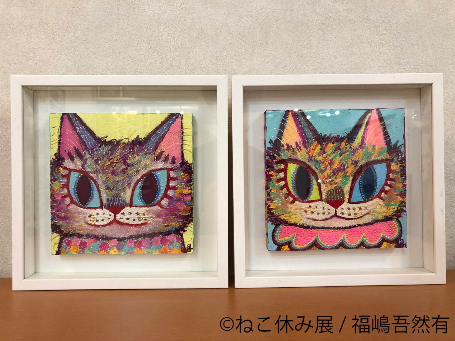 猫の合同写真＆物販展「ねこ休み展」がルクア大阪で、"スター猫"の作品300点以上＆限定商品など｜写真31