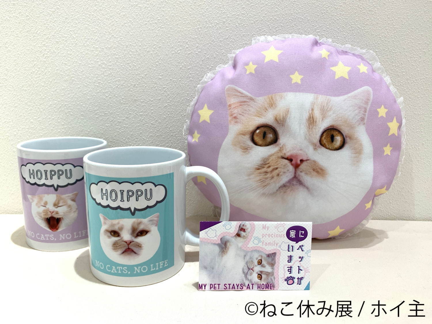 猫の合同写真＆物販展「ねこ休み展」がルクア大阪で、"スター猫"の作品300点以上＆限定商品など｜写真26