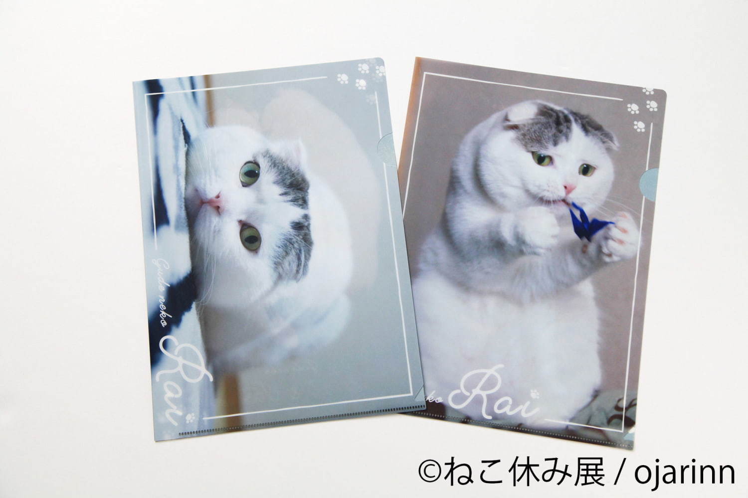 猫の合同写真＆物販展「ねこ休み展」がルクア大阪で、"スター猫"の作品300点以上＆限定商品など｜写真29