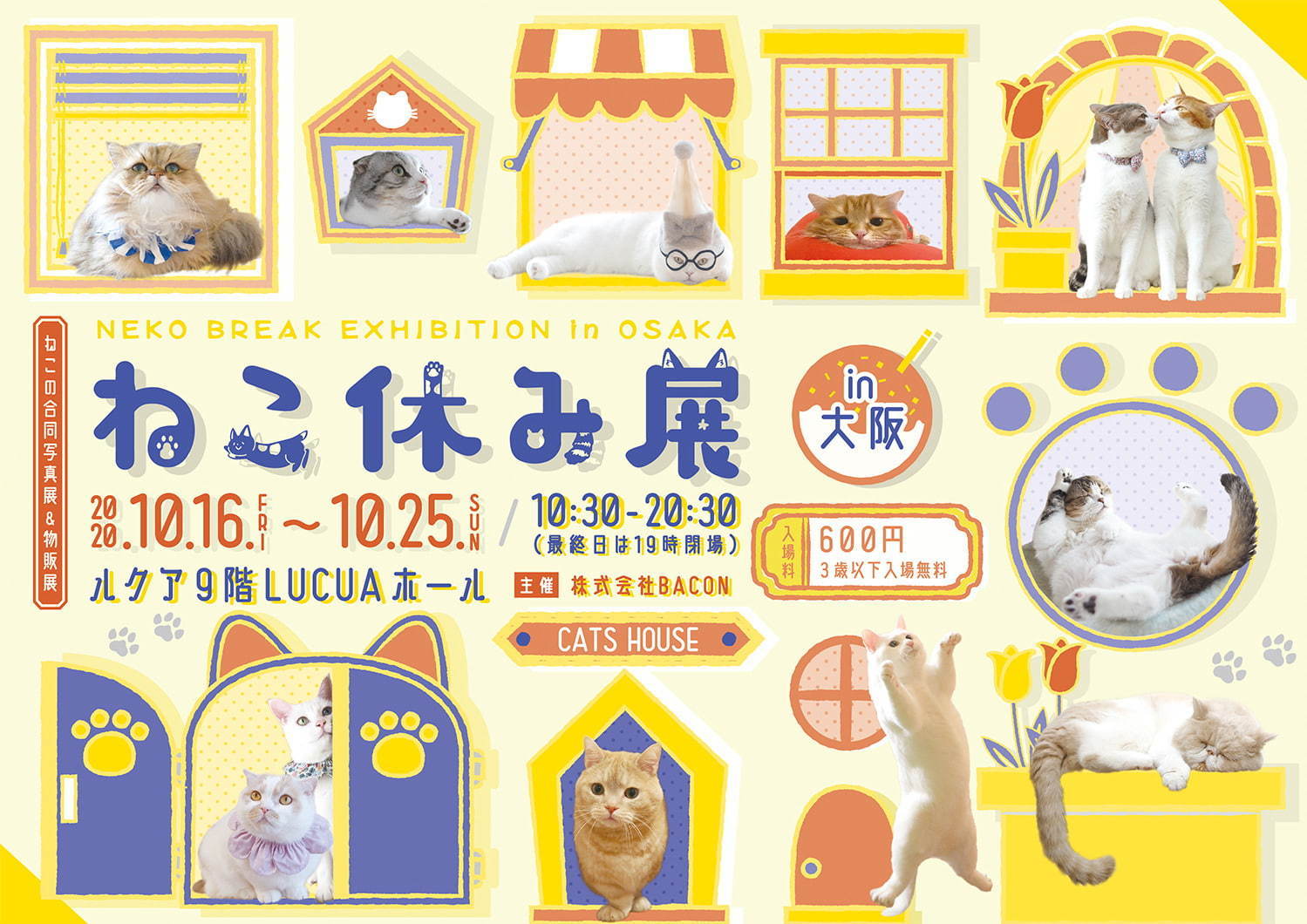 猫の合同写真＆物販展「ねこ休み展」がルクア大阪で、"スター猫"の作品300点以上＆限定商品など｜写真36
