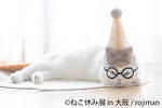 猫の合同写真＆物販展「ねこ休み展」がルクア大阪で、"スター猫"の作品300点以上＆限定商品など｜写真8