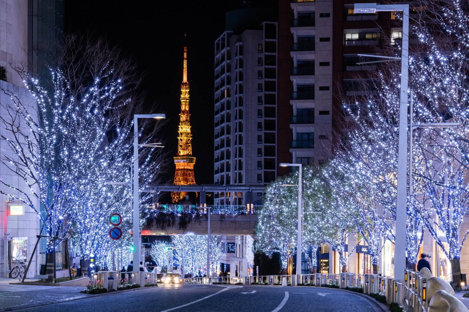 六本木ヒルズのクリスマスイルミネーション2020、約70万のLED輝く400mのけやき並木｜写真1