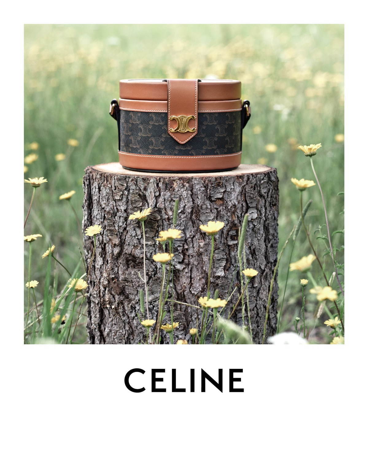 JEWELRY BOX IN TRIOMPHE CANVAS AND CALFSKIN - TAN | CELINE