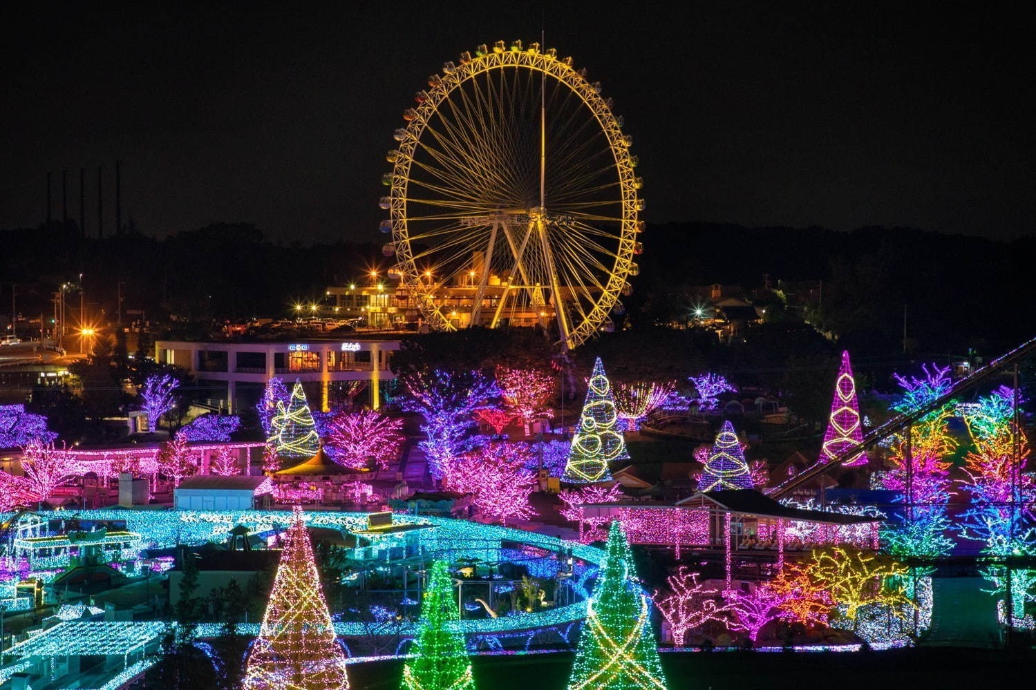 東京都内・関東各地のイルミネーション2020-21、クリスマスを彩る人気のデート＆ナイトスポット｜写真11