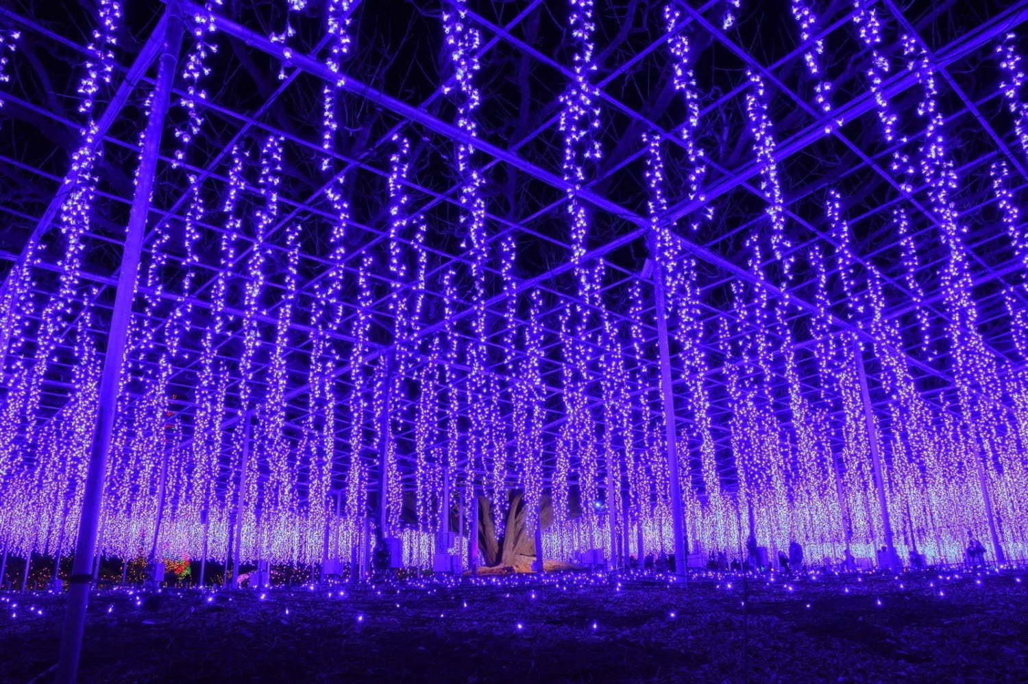 東京都内・関東各地のイルミネーション2020-21、クリスマスを彩る人気のデート＆ナイトスポット｜写真20