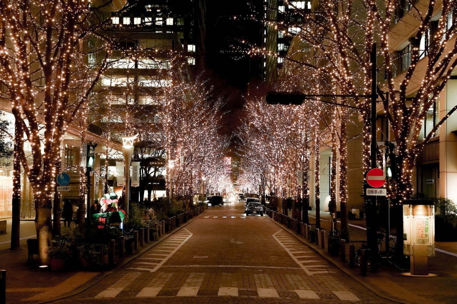 東京都内・関東各地のイルミネーション2020-21、クリスマスを彩る人気のデート＆ナイトスポット｜写真6