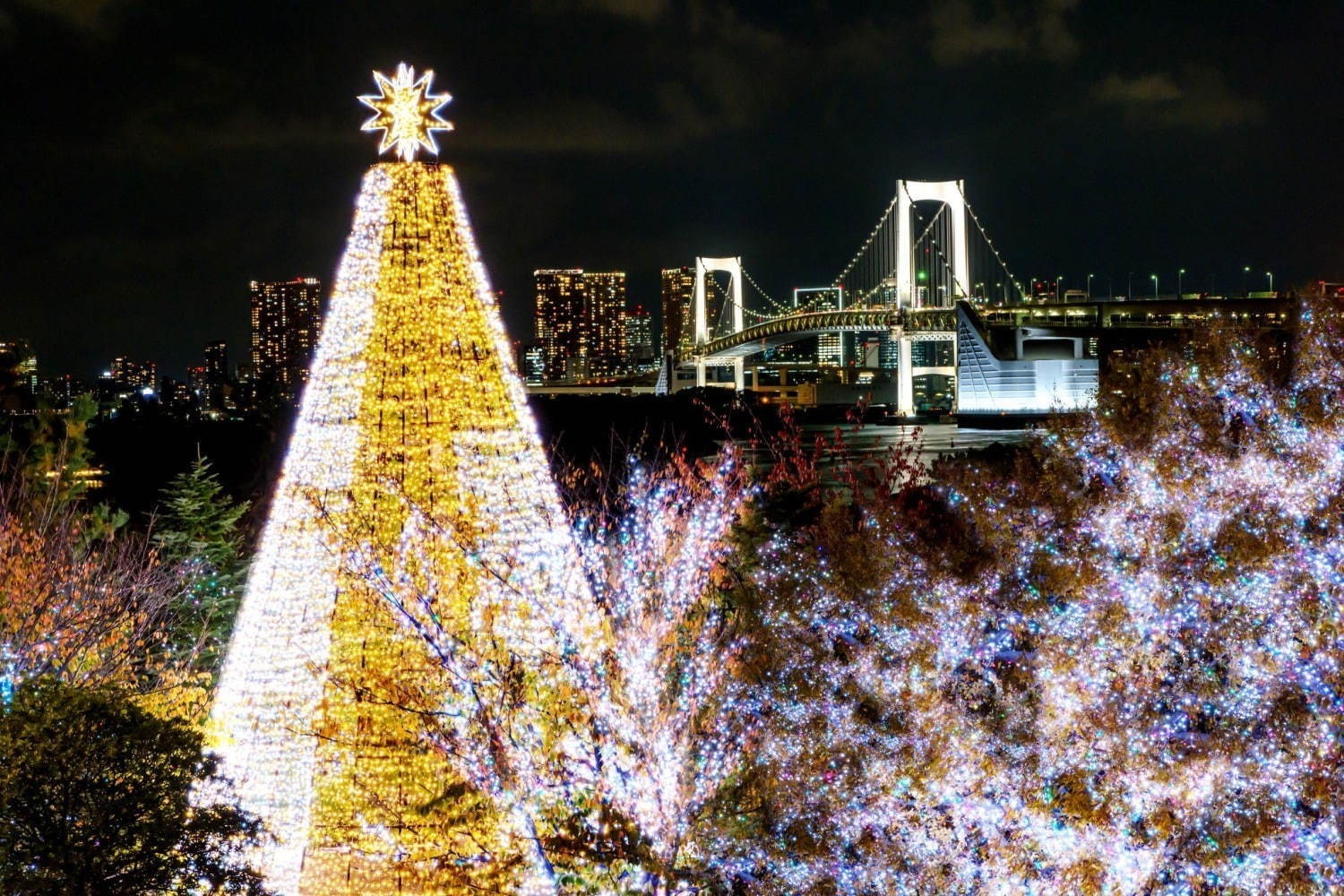 写真23 31 東京都内 関東各地のイルミネーション 21 クリスマスを彩る人気のデート ナイトスポット ファッションプレス 写真23 31 東京都内 関東各地のイルミネーション 21 クリスマスを彩る人気のデート ナイトスポット ファッションプレス