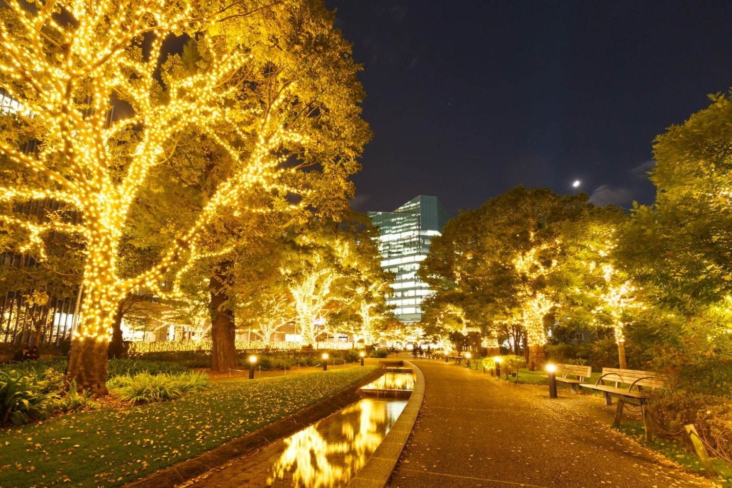 東京都内・関東各地のイルミネーション2020-21、クリスマスを彩る人気のデート＆ナイトスポット｜写真9