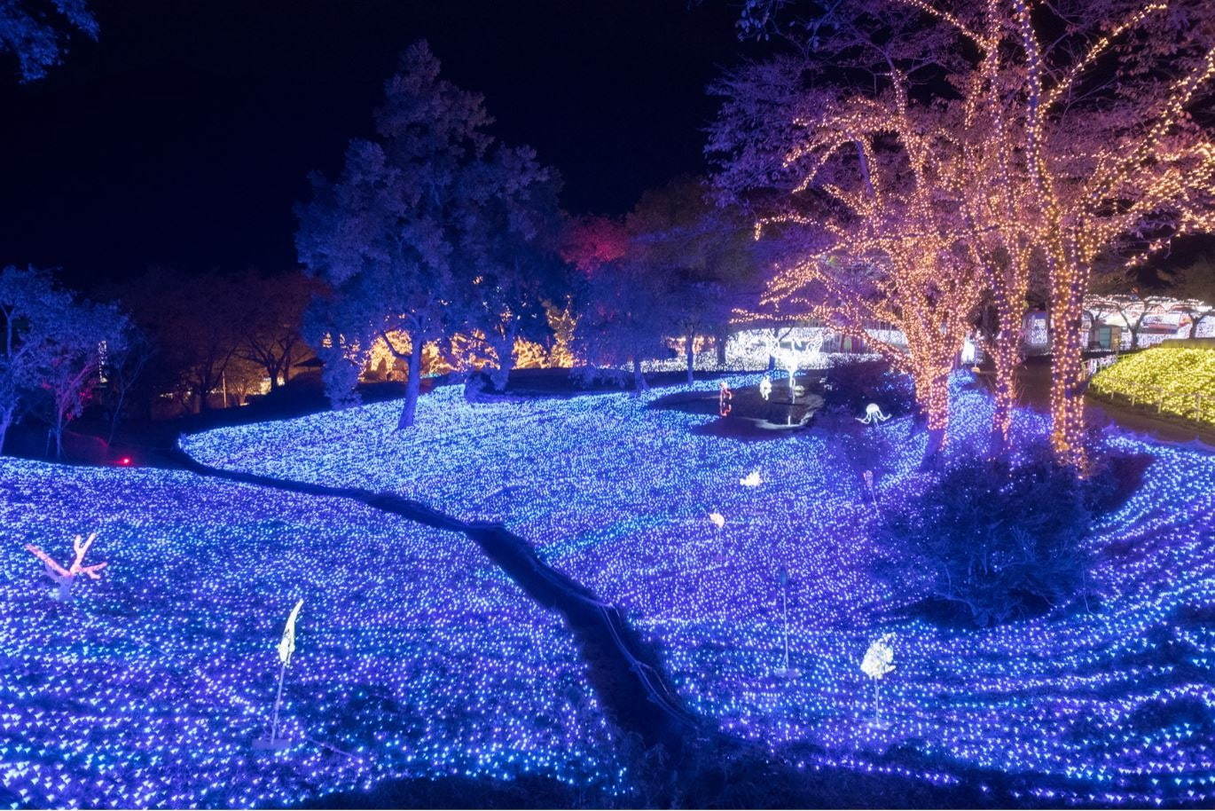 「さがみ湖イルミリオン」ポケモンコラボの新イルミネーション、関東最大級の約600万球が輝く｜写真12