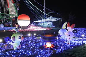 ポケモン ポケットモンスター ダイヤモンド&パール LED