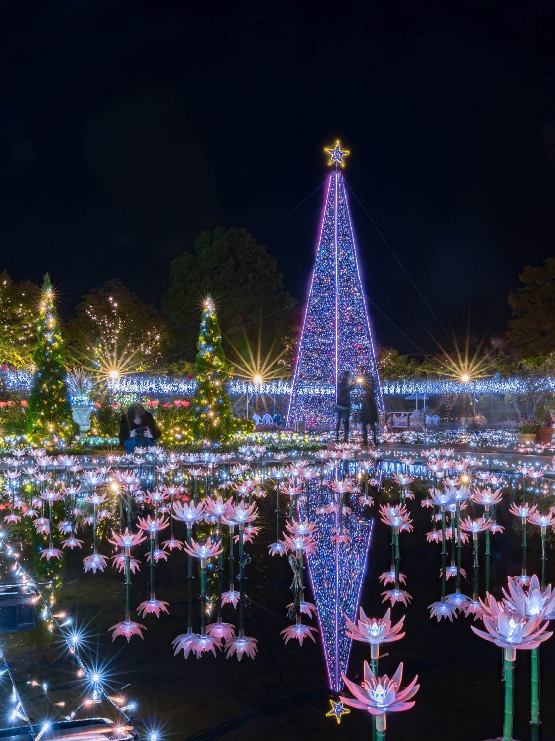 あしかがフラワーパークのイルミネーション 光の花の庭 大藤や水連の花を500万球超の光で再現 ファッションプレス