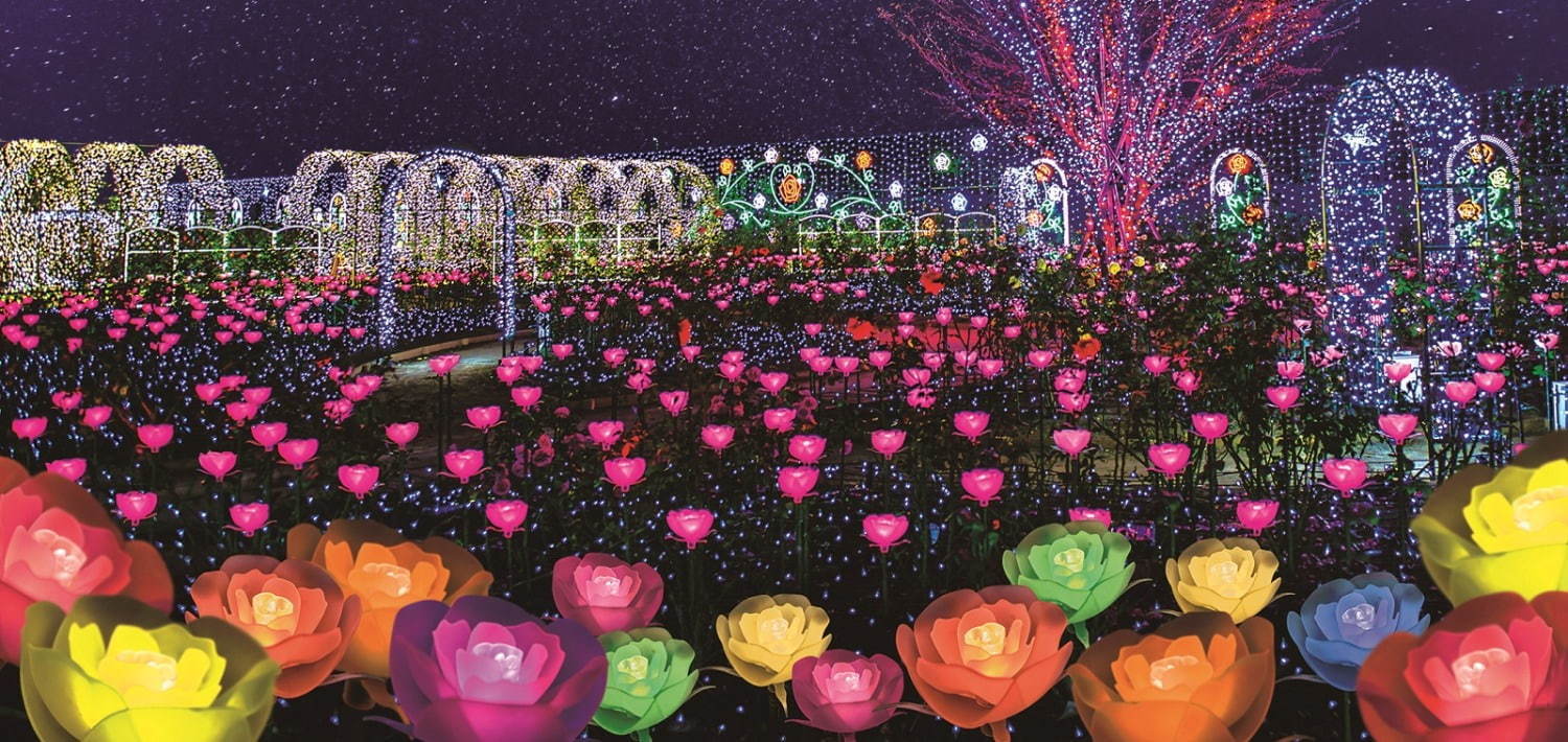 あしかがフラワーパークのイルミネーション2020「光の花の庭」大藤や水連の花を500万球超の光で再現｜写真6