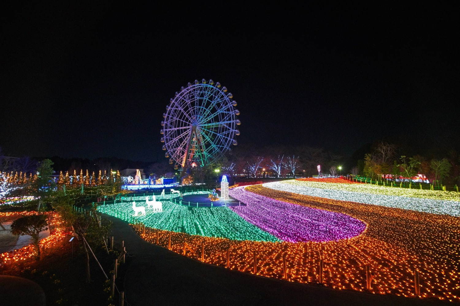 東武動物公園のイルミネーション2020、約300万球のLEDの光×音楽のショーなど｜写真9