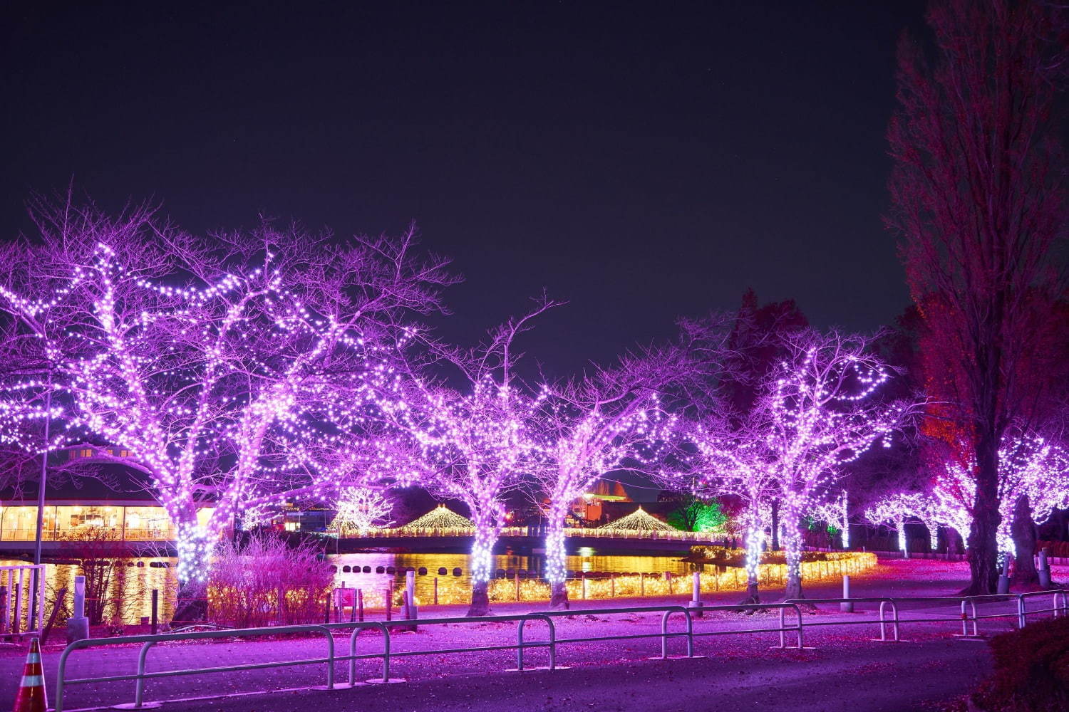 東武動物公園のイルミネーション2020、約300万球のLEDの光×音楽のショーなど｜写真11