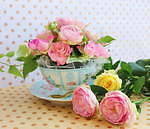 カレンド(karendo) ティーカップブーケ｜写真3