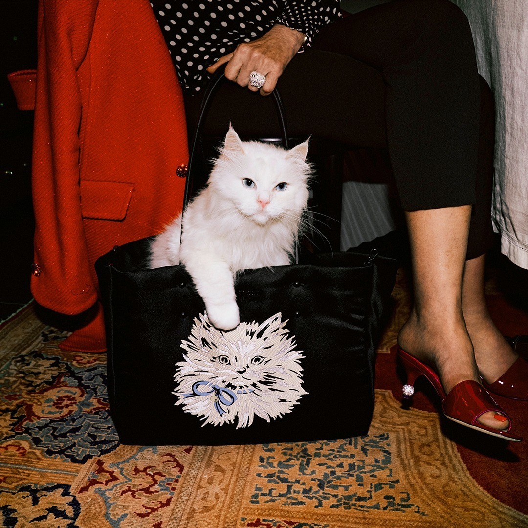 品数豊富 新品 ケイトスペード 白猫 ホワイトキャット パスポートカバー 旅行用品 Dessertfirstgirl Com