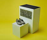 ヴァンズ(Vans) 叫び｜写真26