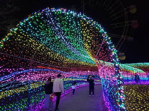 東京ドイツ村、約300万球輝くウインターイルミネーション - 観覧車から見下ろす3Dイルミアートも｜写真5